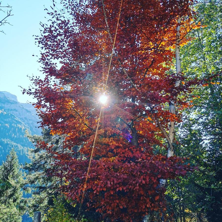 Ferienhaus Hochvogel Hinterhornbach Exteriér fotografie